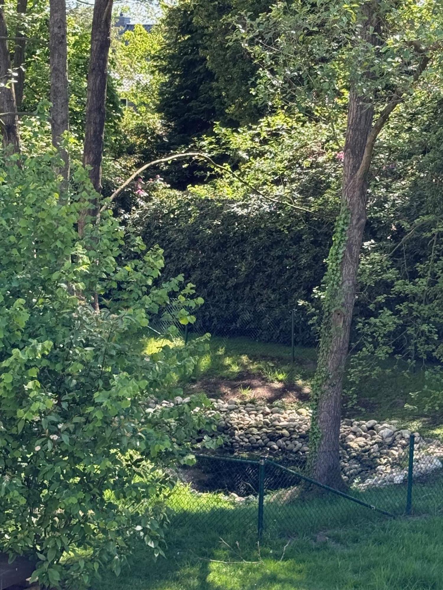 Eichenblick Apartman Bad Zwischenahn Kültér fotó